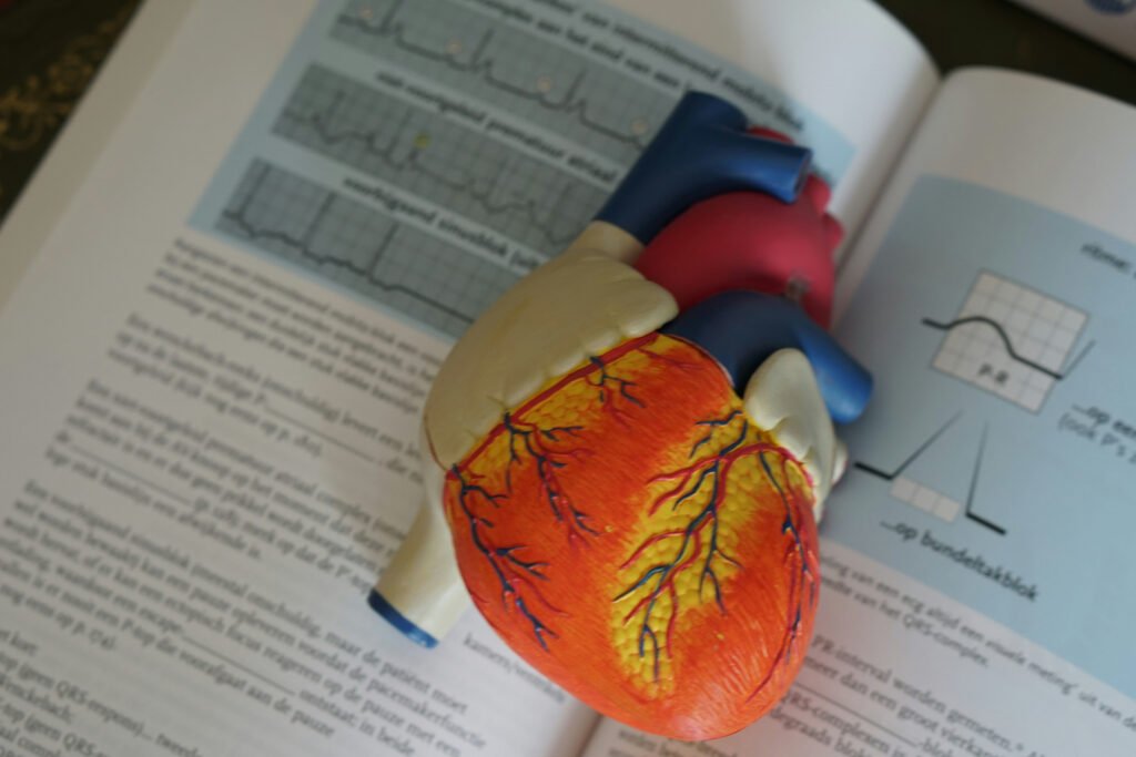 USMLE TUTORS