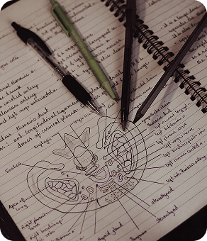 Handwritten notes